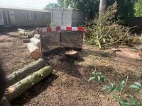 Stump Removal Services image 2